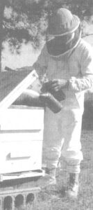 Courses in Beekeeping Image